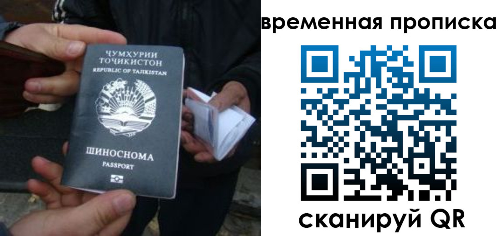 прописка законно в Ефремове